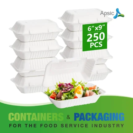 Compotable Hinged Container (6x9 -250pcs)